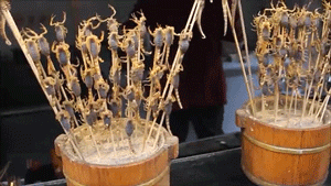 网红蝎子串.gif