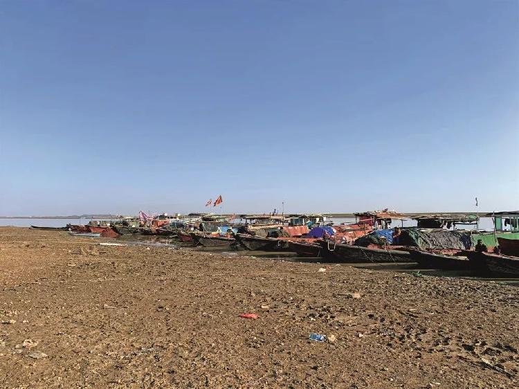 再不保护“四大家鱼”基因库，中国人将无鱼可吃.jpg