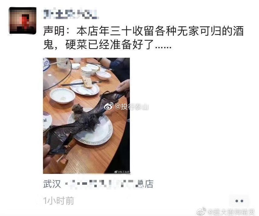武汉肺炎始发地华南海鲜市场的照片，触目惊心
