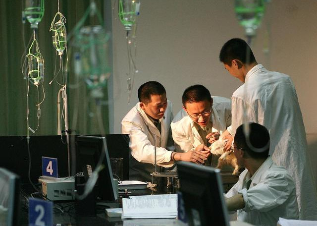 哈佛物理博后南大副教授放弃科研去了街道办6.jpg