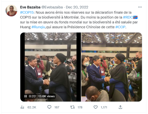 刚果金副总理兼环境与可持续发展部长巴扎伊巴（Eve Bazaiba）女士在Twitter上发表了与黄润秋部长握手交流的 ...